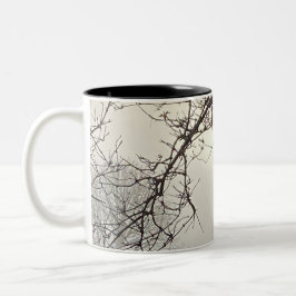 Weißer Himmel und Sonne sind von Bäumen dramatisch Zweifarbige Tasse