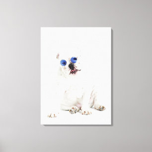 weißer Hintergrund, weiße Bulldogge, Blau abget Leinwanddruck