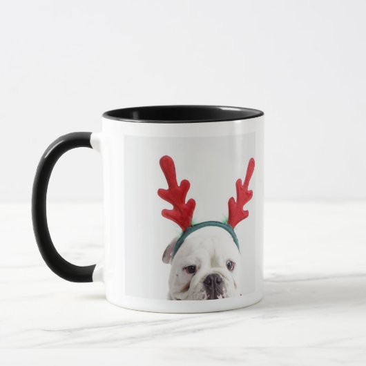 weißer Hintergrund, weiße männliche Bulldogge, rot Tasse (Links)