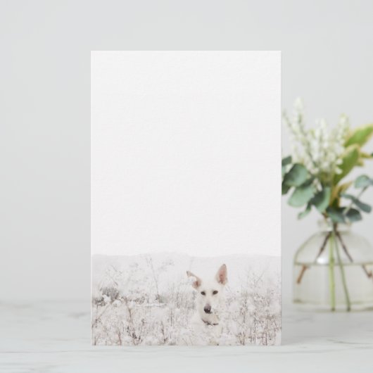 Weißer Hirte Briefpapier (Stehend Vorderseite)