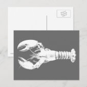 Weißer Hummer auf Grau/Grau Postkarte (Vorne/Hinten)