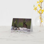 Weißer Hund, der unter Zaun späht Karte (Gelbe Blume)