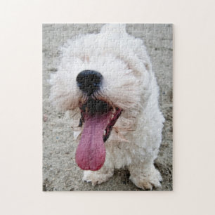 Weißer Hund des glücklichen Welpen, malteese, Puzzle
