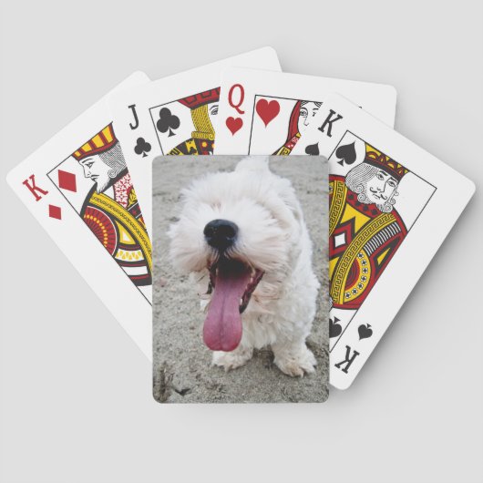 Weißer Hund des glücklichen Welpen, malteese, Spielkarten (Rückseite)