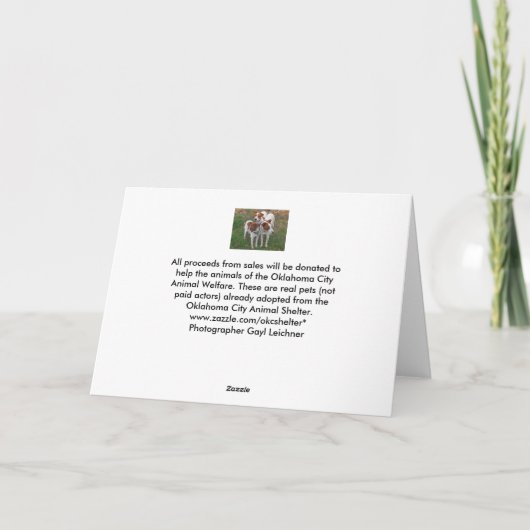 Weißer Hund Feiertagskarte (Rückseite)