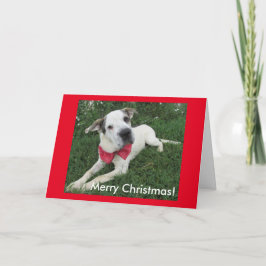 Weißer Hund Feiertagskarte