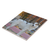 Weißer Hund Fliese (Seite)