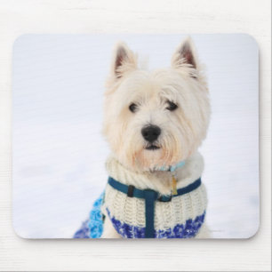Weißer Hund in der Kleidung im Schnee Mousepad