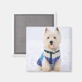 Weißer Hund in Kleidung im Schnee. Magnet (Vorderseite/Rückseite)