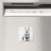 Weißer Hund in Kleidung im Schnee. Magnet (In Situ (Geschirrspüler))