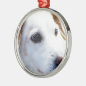 Weißer Hund mit faulen Augen, BESTE FREUNDIN von T Silbernes Ornament (Links)