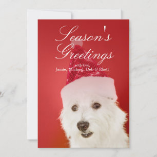 Weißer Hund mit Weihnachtsmannmütze Feiertagskarte