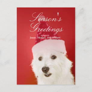 Weißer Hund mit Weihnachtsmannmütze Feiertagspostkarte