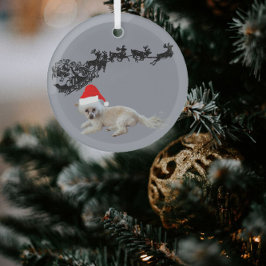 Weißer Hund mit Weihnachtsmannmütze | Schlitten un Ornament Aus Glas