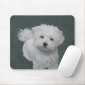 Weißer Hund-Portrait Mousepad (Mit Mouse)
