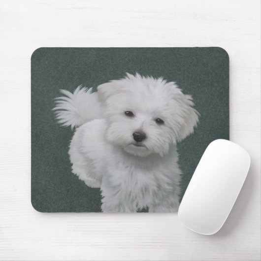 Weißer Hund-Portrait Mousepad (Mit Mouse)