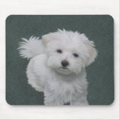 Weißer Hund-Portrait Mousepad (Vorne)