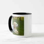 Weißer Hund Tasse (Vorderseite Links)