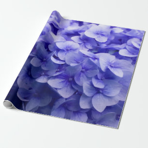 Weißer Hydrangea-Blumenhintergrund Geschenkpapier