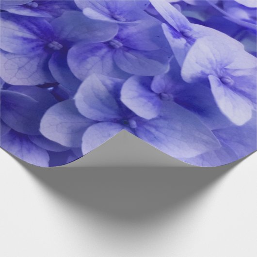 Weißer Hydrangea-Blumenhintergrund Geschenkpapier (Ecke)