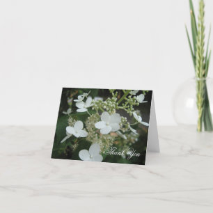 Weißer Hydrangea danken Ihnen Dankeskarte