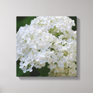 Weißer Hydrangea-Leinwand-Druck Leinwanddruck
