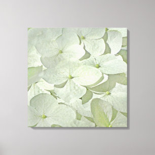 Weißer Hydrangea-Leinwand-Druck Leinwanddruck
