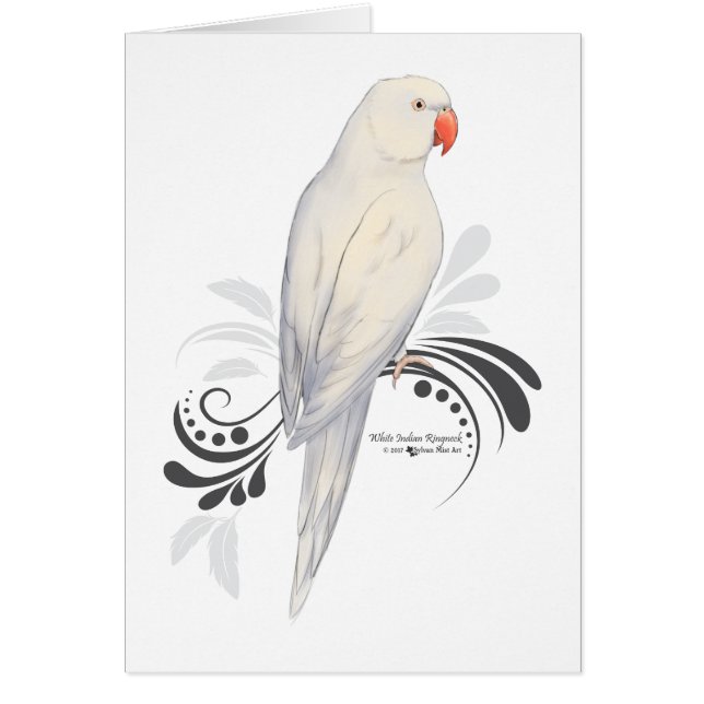 Weißer Indianenklingelpapagei (Vorne)