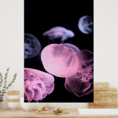 WEISSER JELLYFISH IN WASSER MIT SCHWARZEM HINTERGR POSTER (Küche)