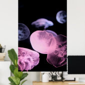 WEISSER JELLYFISH IN WASSER MIT SCHWARZEM HINTERGR POSTER (Heimbüro)