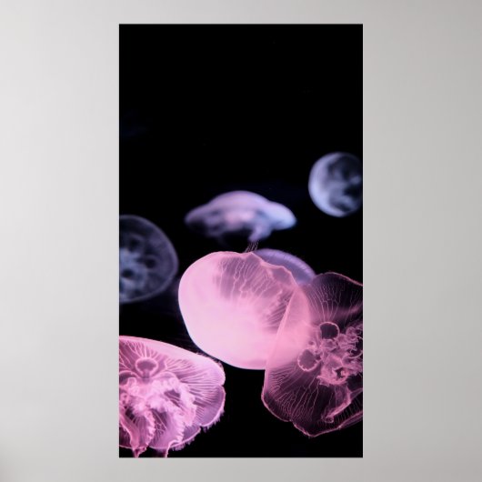 WEISSER JELLYFISH IN WASSER MIT SCHWARZEM HINTERGR POSTER (Vorne)