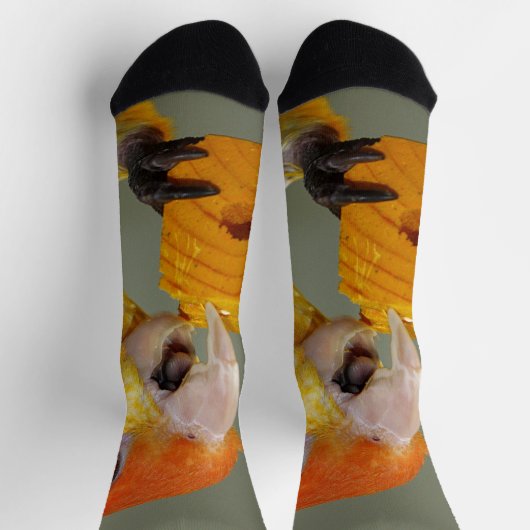 Weißer Kaiksittich mit Holzklotz Socken (Oben)