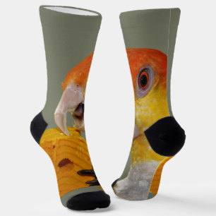 Weißer Kaiksittich mit Holzklotz Socken