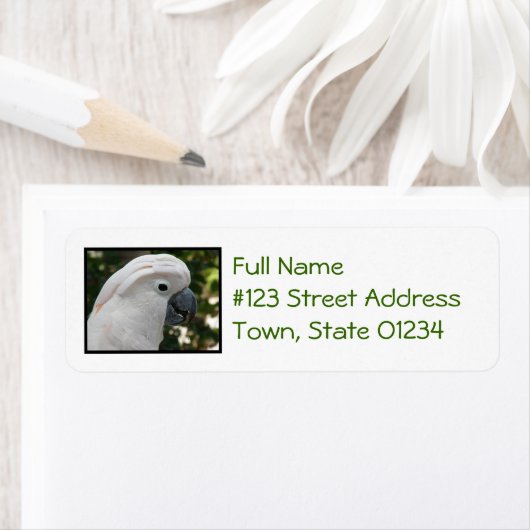 Weißer Kakadu (Insitu)