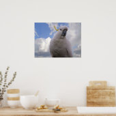 Weißer Kakadu Poster (Küche)