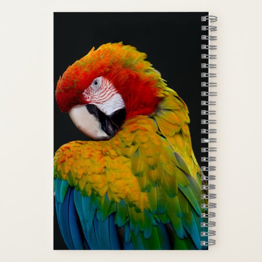 Weißer Kakadu, Schirmpapagei, Papagei Notizblock (Rückseite)