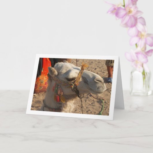 Weißer Kamel in der Wüste Karte (Orchidee)