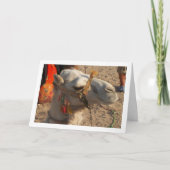 Weißer Kamel in der Wüste Karte (Vorderseite)