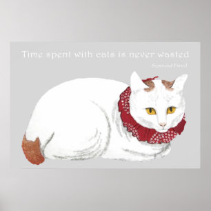 Weißer Katzen-Plakat-Druck Poster