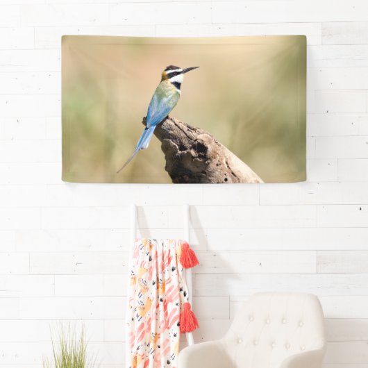 Weißer Kehlkäfer Banner (Insitu)