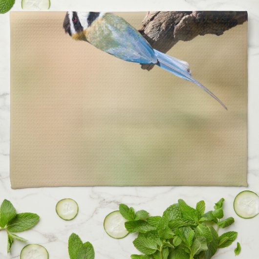 Weißer Kehlkäfer Geschirrtuch (Gefaltet)