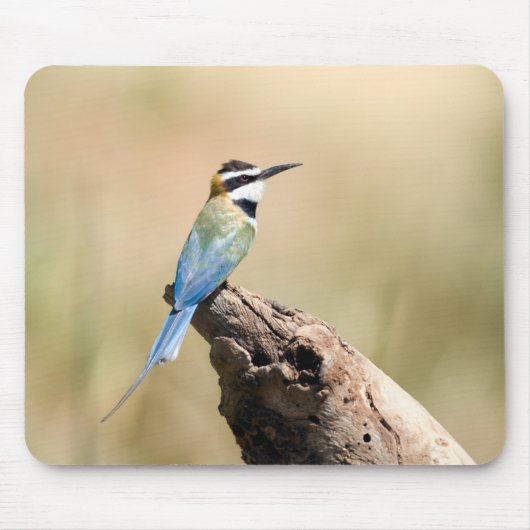 Weißer Kehlkäfer Mousepad (Vorne)