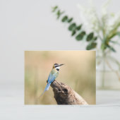 Weißer Kehlkäfer Postkarte (Stehend Vorderseite)