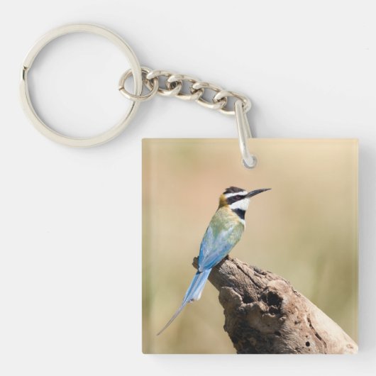 Weißer Kehlkäfer Schlüsselanhänger (Vorderseite)