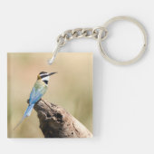 Weißer Kehlkäfer Schlüsselanhänger (Rückseite)