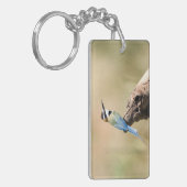 Weißer Kehlkäfer Schlüsselanhänger (Vorderseite links)