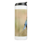 Weißer Kehlkäfer Thermosbecher (Nach links gedreht)