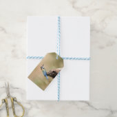 Weißer Kehlkopfbeere Geschenkanhänger (Mit Garn)
