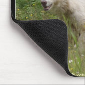 WEISSER KERMODE (SPIRITT) MOUSEPAD (Ecke)