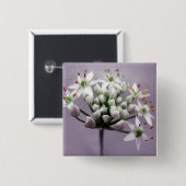 Weißer Knoblauchchive Blüten auf Lila Button (Vorne & Hinten)